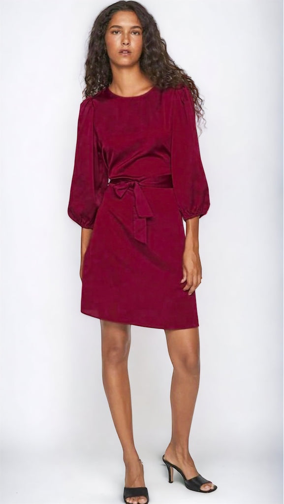 A1110 Beet Red Satin Dress