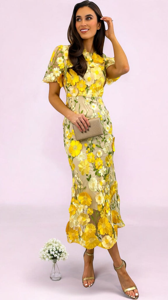 4-A2261 Debra Yellow Multi 3D Floral Dress